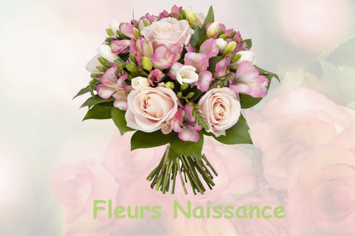 fleurs naissance NANTEUIL-NOTRE-DAME